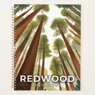 Mammutbäume   Nationalpark Wasserfarben Kunst Planer