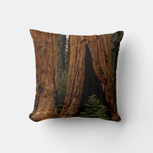 Mammutbäume, Sequoia-Nationalpark. Kissen