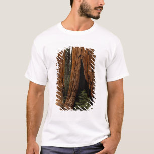 Mammutbäume, Sequoia-Nationalpark. T-Shirt