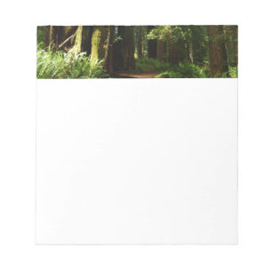 Mammutbäume und Farne im Redwood National Park Notizblock
