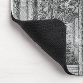 Mammutbaumwaldung im Tal von Mousepad (Ecke)