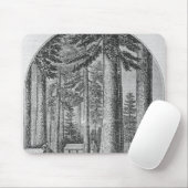 Mammutbaumwaldung im Tal von Mousepad (Mit Mouse)