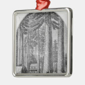 Mammutbaumwaldung im Tal von Silbernes Ornament (Links)