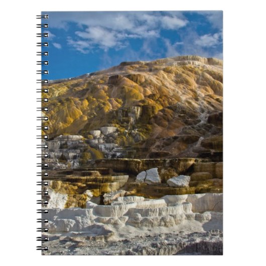 Mammutheiße Quelle Notizblock (Vorderseite)