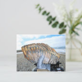 Mammutzahn in Alaska 09 Postkarte (Stehend Vorderseite)