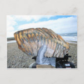 Mammutzahn in Alaska 09 Postkarte (Vorderseite)