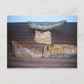 Mammutzähne Stoßspitze Postkarte (Vorderseite)