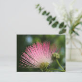 Mamosa Postkarte (Stehend Vorderseite)