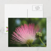 Mamosa Postkarte (Vorne/Hinten)