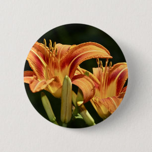 Man denke an die Lilien des Felds Button