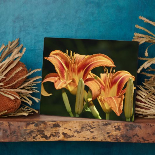 Man denke an die Lilien des Felds Fotoplatte (Seite)