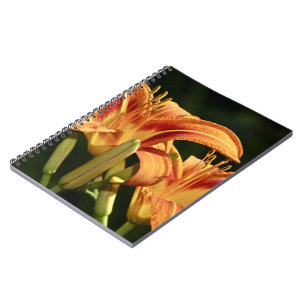 Man denke an die Lilien des Felds Notizblock