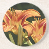 Man denke an die Lilien des Felds Sandstein Untersetzer (Vorne)