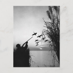 Man Duck Hunting Postkarte