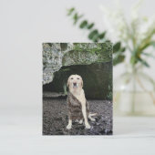 Man Höhle Einladung (Stehend Vorderseite)