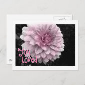 man liebt postkarte (Vorne/Hinten)