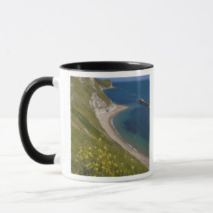 Man o War Bay, Jurassische Küste, Lulworth, Dorse Tasse