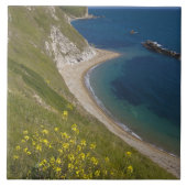 Man o War Bay, Jurassische Küste, Lulworth, Dorset Fliese (Vorderseite)