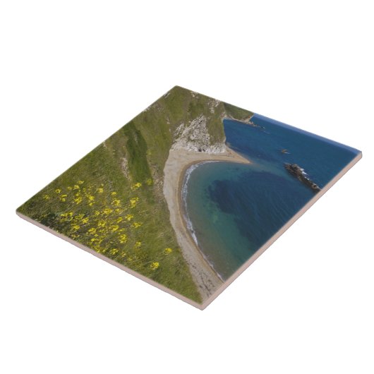 Man o War Bay, Jurassische Küste, Lulworth, Dorset Fliese (Seite)