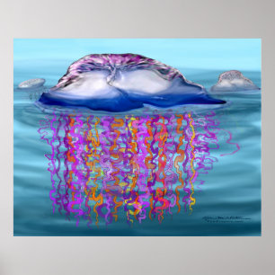 Man-o-war Poster