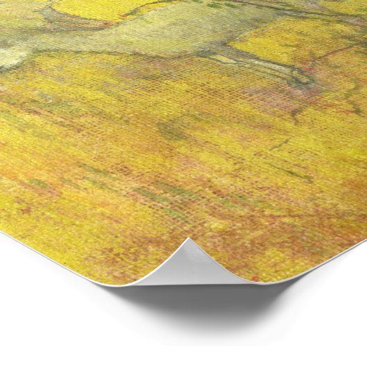 Man pflückt Obst aus einem Baum, 1897 Poster (Ecke)