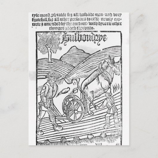 Man pflügt ein Feld Postkarte (Vorderseite)