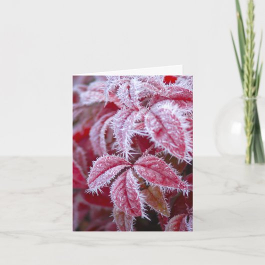 Man schmilzt den Frost vom Gruß Karte (Vorderseite)