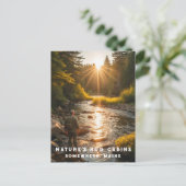 *~* Man Sun Fishing Stream Maine Peace AP49 Postkarte (Stehend Vorderseite)