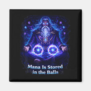 Mana Gespeicherte Bälle Rpg Humor Grafik Kunst Magnet
