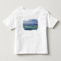 Mana Island und Korallenriff, Mamanuca Inseln