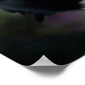 Manakin Poster (Ecke)