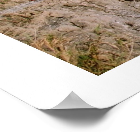 Manarola Panoramasicht Poster (Ecke)