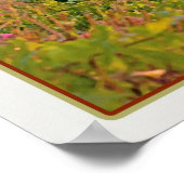 Manarola Vineyard Harbour - auf Weiß Poster (Ecke)