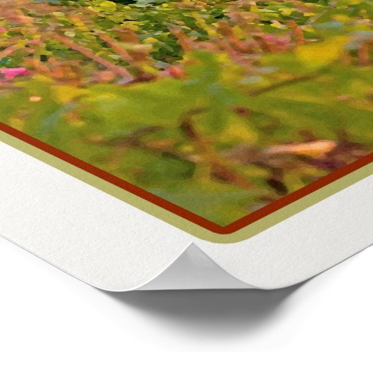 Manarola Vineyard Harbour - auf Weiß Poster (Ecke)