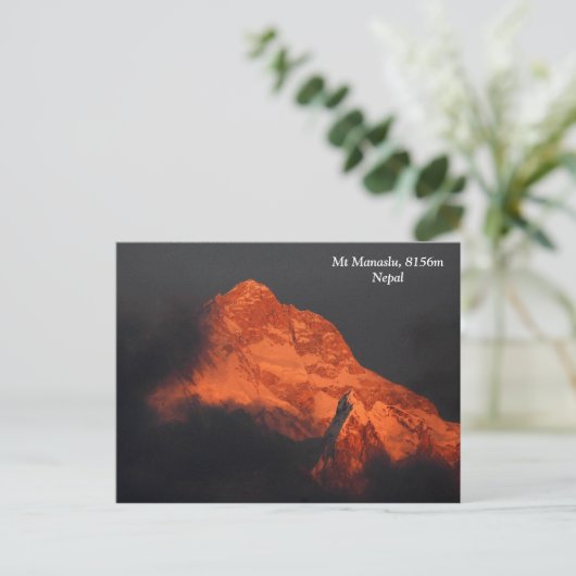 Manaslu Alpenglow Postkarte (Stehend Vorderseite)