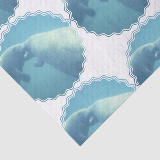 manatee-9 seidenpapier (Ausschnitt)