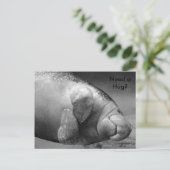 Manatee BW0196 "Braucht eine Umarmung?" Postkarte (Stehend Vorderseite)