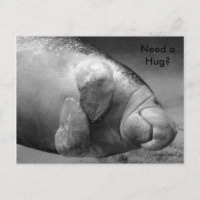 Manatee BW0196 "Braucht eine Umarmung?" Postkarte