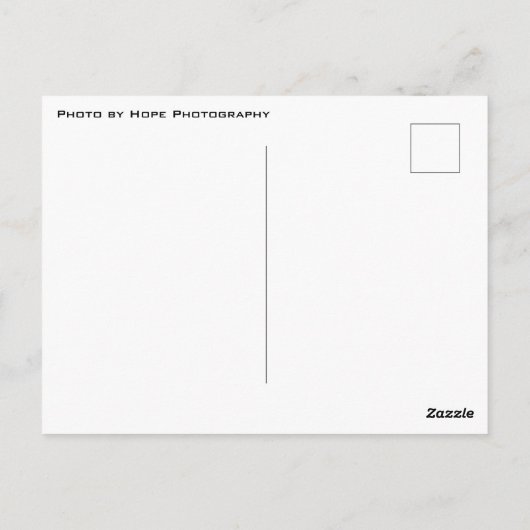 Manatee Crystal River Florida Postkarte (Rückseite)