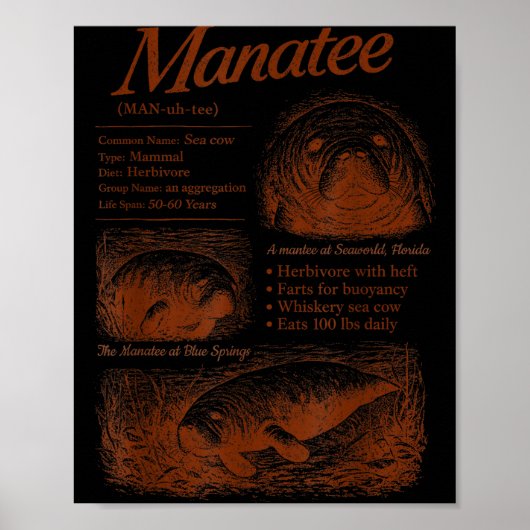 Manatee-Definition 90er Respektiert die Einheimisc Poster (Vorne)