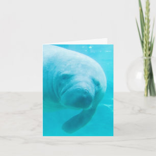 Manatee Digital Art "oh hi" Karte
