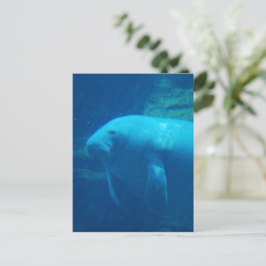 Manatee Floating Postcard Postkarte (Stehend Vorderseite)