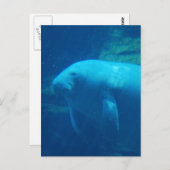 Manatee Floating Postcard Postkarte (Vorne/Hinten)