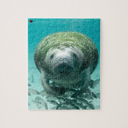 Manatee Florida Jigsaw Puzzle (Vertikal)