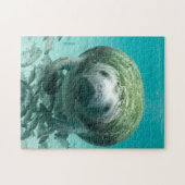 Manatee Florida. Puzzle (Horizontal)