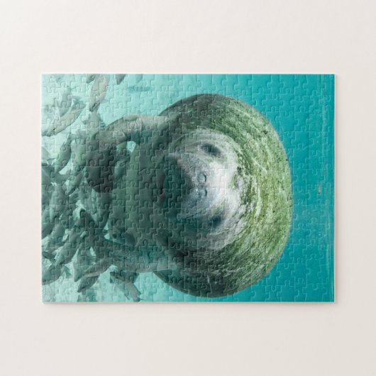 Manatee Florida. Puzzle (Horizontal)