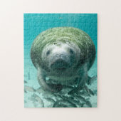 Manatee Florida. Puzzle (Vertikal)