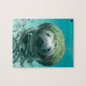 Manatee Florida Puzzle (Horizontal)