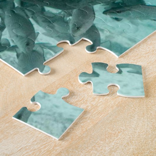 Manatee Florida Puzzle (Seite)