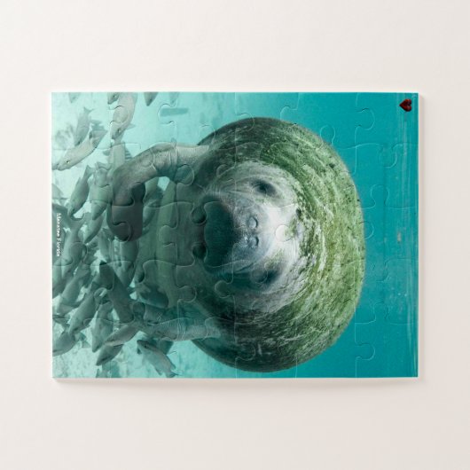 Manatee Florida Puzzle (Horizontal)